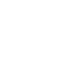 Connections Icon